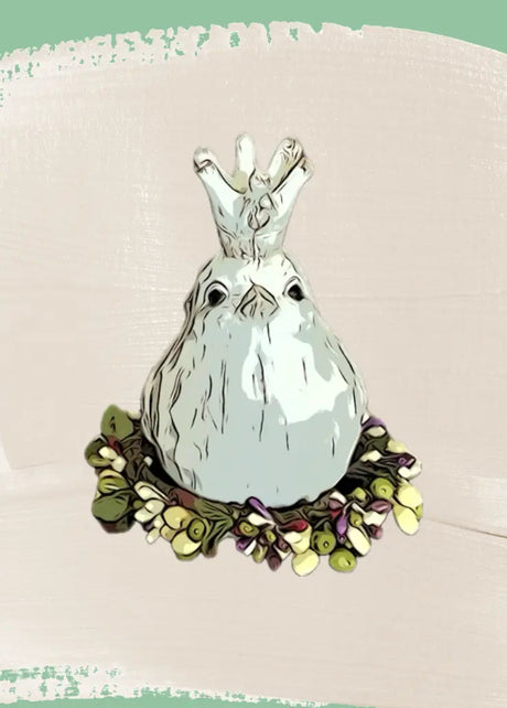 Clearance Collection