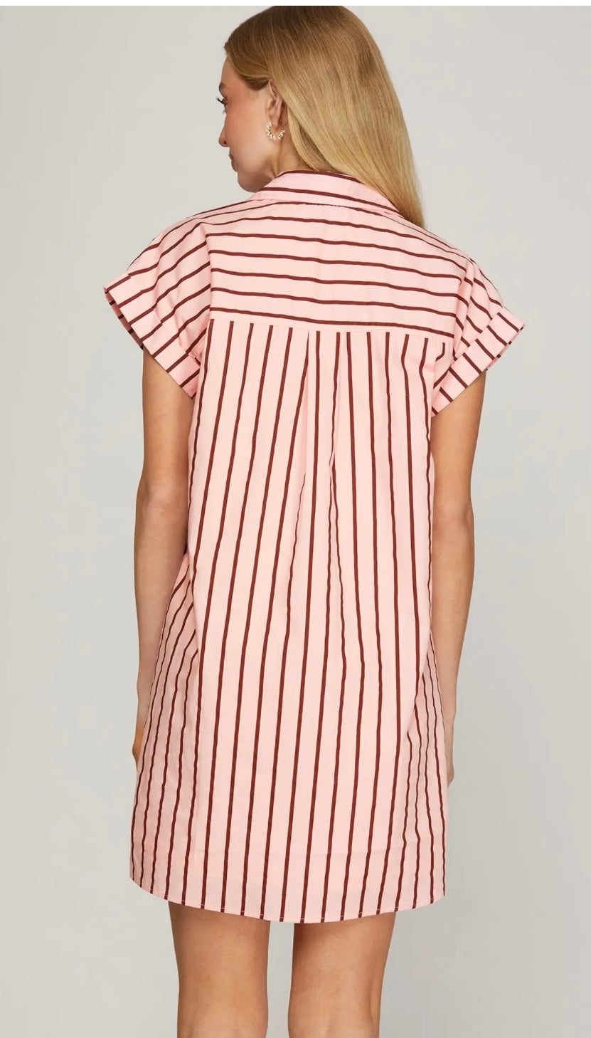 Blush and Bold Striped Dress